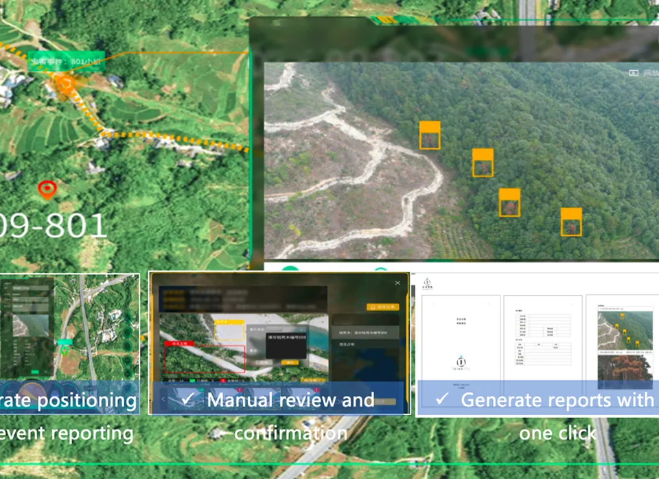 AI automatically identifies diseased and dead trees and conducts regional analysis and statistics.